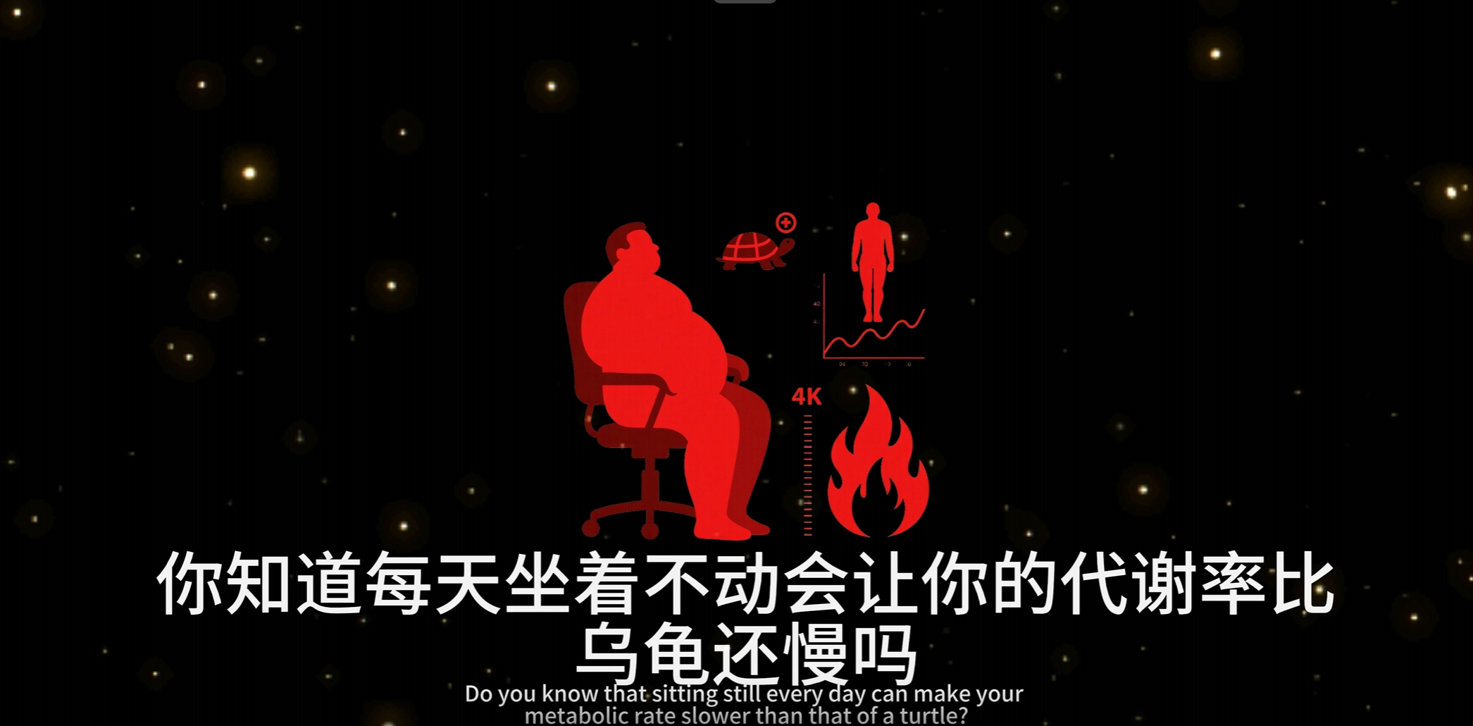 减肥赛道-抖微学堂AI